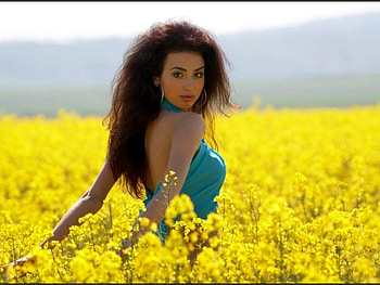 Beauty in Flowers, cool HD wallpaper