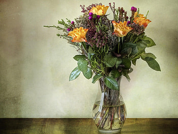 Flowers, Roses, Surface, Bouquet, Wall, Vase HD wallpaper