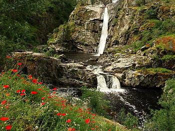 Waterfall, falls, flowers, water, rock HD wallpaper