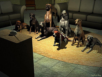 Dogs watching TV, tv, dogs, technology, funny, people HD wallpaper