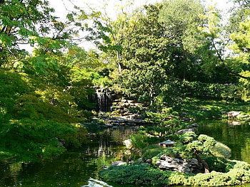 Fort Worth, Japanese Garden, trees, sky, plants, water HD wallpaper