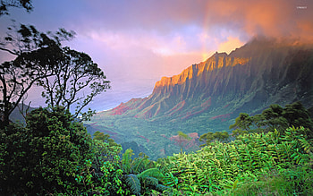 Hawaii HD wallpaper