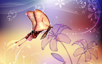 Butterfly, flowers, abstract HD wallpaper