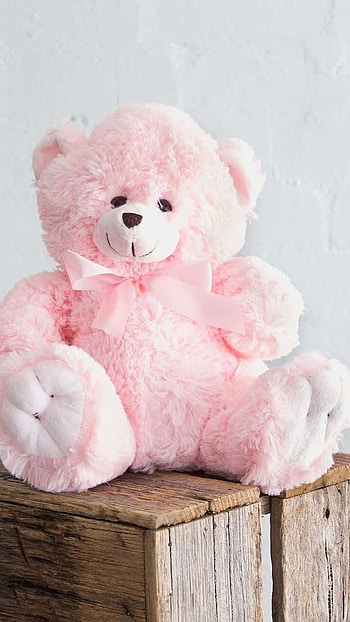 Pink Teddy Bear, Cute HD phone wallpaper