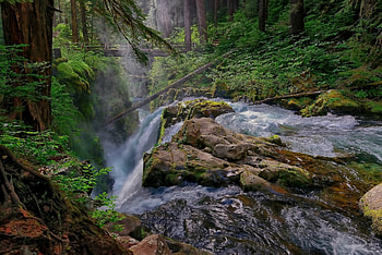 Waterfall, nature, rock, tree HD wallpaper