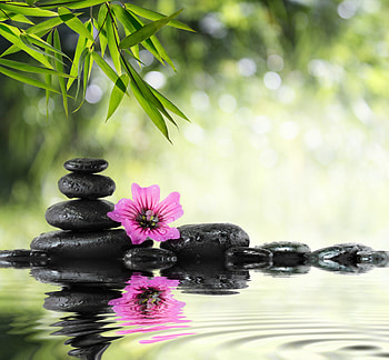 SPA, relaxing, pink, flower, stone HD wallpaper