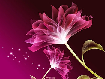 ~Abstract Purple Flower~, purple, nature, abstract, flower HD wallpaper