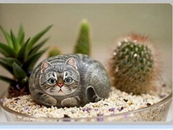 stoned cat, creative, awesome HD wallpaper