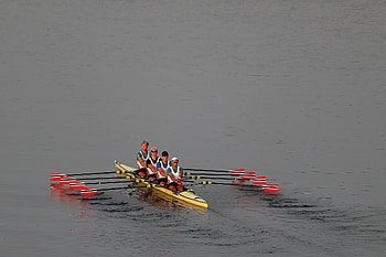 2019 World Rowing Championships, Rowing HD wallpaper