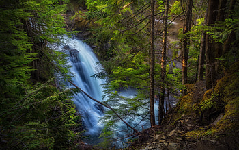 mountain waterfall, forest, evening, sunset, green spruces, coniferous forest, environment, waterfall, Oregon, USA HD wallpaper