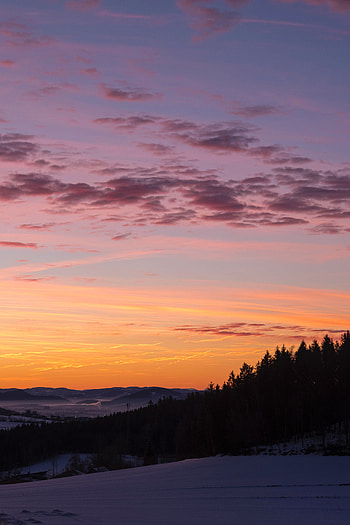 Nature, Trees, Sky, Clouds, Snow, Dawn HD phone wallpaper
