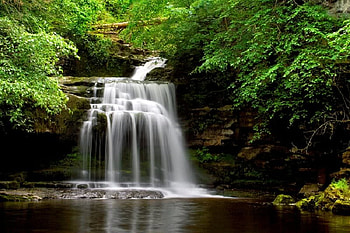 Cauldron Force, West Burton, falls, water, rock, tree HD wallpaper