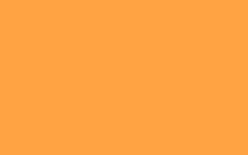 Neon Carrot Solid Color Background HD wallpaper