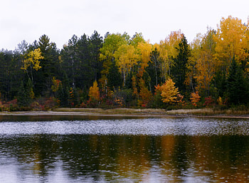 Autumn Rain, graphy, Trees, Nature, Autumn, River HD wallpaper