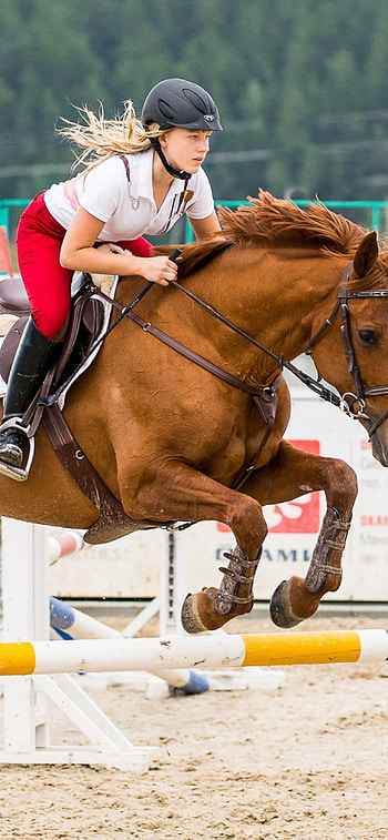Equestrian sport , 11 background, Dynamic sports , Horse riding excitement HD phone wallpaper