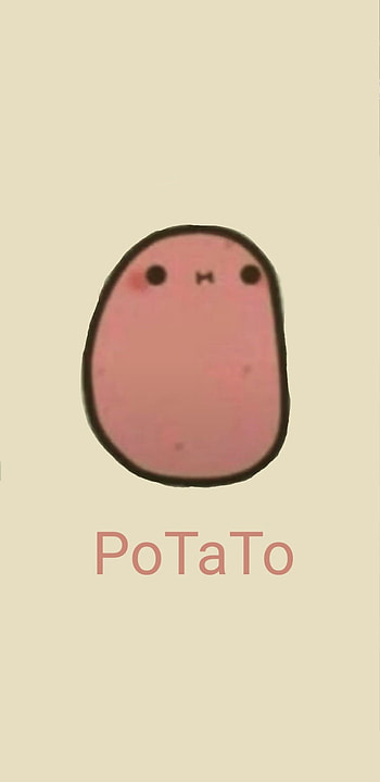 PoTaTo, Potatos, Food HD phone wallpaper