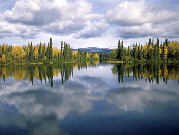 Nature, Trees, Autumn, Clouds, Lake, Canada, Dragon Lake, Yukon HD wallpaper