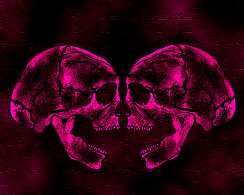 2 PINK SKULLZ, pink, labrano, soulsisters, skulls HD wallpaper