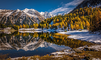 nature, reflection HD wallpaper