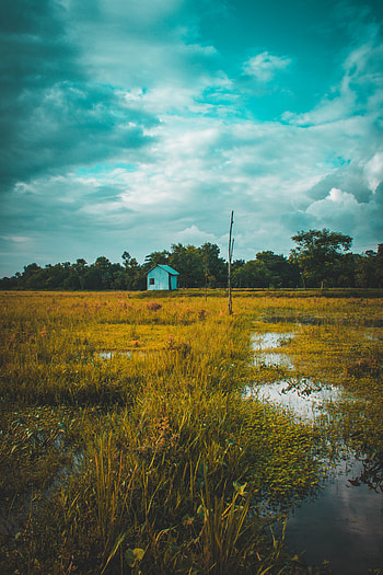 Nature, Grass, Twilight, Clouds, Lake, Field, Small House, Lodge, Dusk HD phone wallpaper