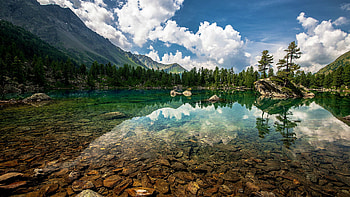 Fishing HD wallpaper