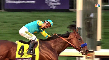 American Pharoah Wins Breeders' Cup, animal, horse, Breeders Cup, graphy, thorobred, beautiful, wide screen, equine, American Pharoah, , thoroughbred HD wallpaper