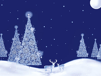Xmas time, decoration, moon, deer, christmas, december, tree HD wallpaper