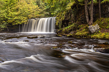 Nature, Rivers, Trees, Waterfall, Flow, Stream HD wallpaper