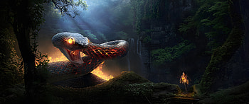 Snake Charmer, Giant, Snake, fantasy, Charmer HD wallpaper