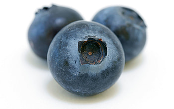 Huckleberry Food, Blueberry, , Background HD wallpaper
