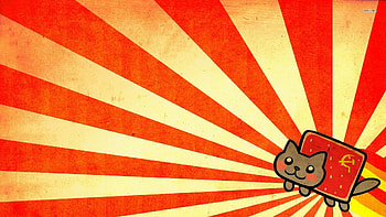 Pepe Meme - afari HD wallpaper