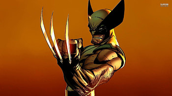 The Wolverine Movie Wolverine Pics ) HD wallpaper