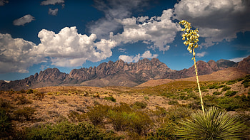 USA New Mexico nature , Back to nature, Scenic beauty, background HD wallpaper