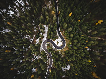 A winding road snakes through a dense forest in Cortina d’Ampezzo, Italy. HD wallpaper