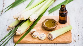 Skin benefits, Lemongrass skincare, Healthy herb, Natural beauty HD wallpaper