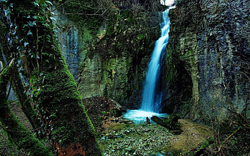 Nature, Stones, Rocks, Wood, Waterfall, Tree, Moss, Gorge, Growths HD wallpaper