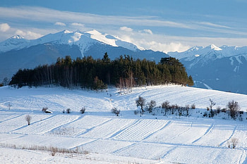 Pirin Mountain, winter, graphy, snow, bulgaria, moutain HD wallpaper