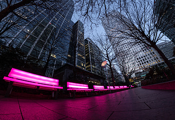 Cities, Trees, City, Building, Neon, Illumination, Backlight, Benches HD wallpaper