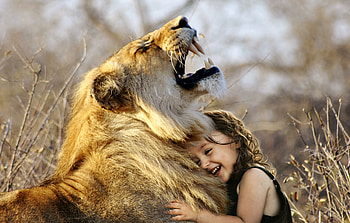 Little Girl Hugs Lion Roaring Cute , lion, animals, roar, predator, cute, hug HD wallpaper
