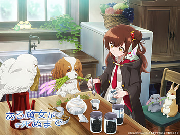 Anime, Once Upon a Witch's Death, Meg Raspberry HD wallpaper