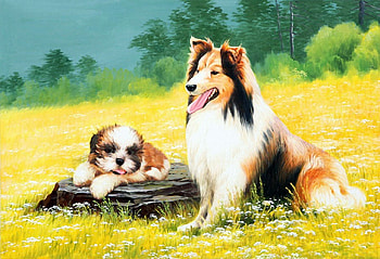 On the Summer Meadow, trees, dogs, summer, grass, flowers HD wallpaper
