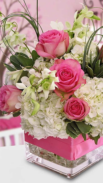 Pink Roses, Flowers HD phone wallpaper
