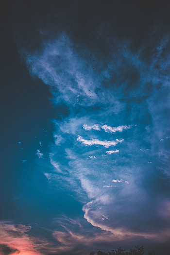 Nature, Birds, Sunset, Sky, Twilight, Clouds, Dusk, Cloudy HD phone wallpaper
