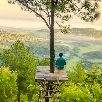 A person enjoying a tranquil moment on a wooden platform amidst lush, misty forests in Indonesia. HD phone wallpaper