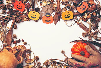Spooky Halloween design featuring pumpkins, skull, and autumn leaves with copy space. HD wallpaper
