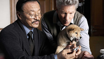 Hachi: A Dog& HD wallpaper