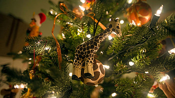 Holidays, New Year, Christmas Tree, Giraffe, Presents, Gifts HD wallpaper