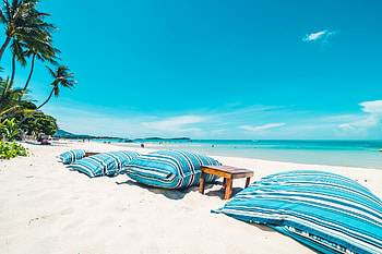Tropical beach, Beach, Summer, Palm trees, Sand HD wallpaper