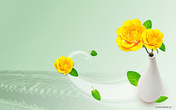 Yellow roses, rose, abstract, yellow, flower HD wallpaper