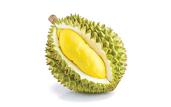 Exquisite durian visuals, Captivating backgrounds, Striking , Beautiful fruit HD wallpaper